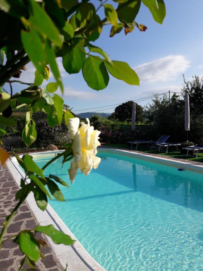 Corte Soave Montecchia di Crosara Ngoại thất bức ảnh